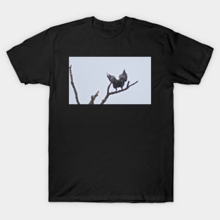 CARRION REGARDLESS..! T-Shirt